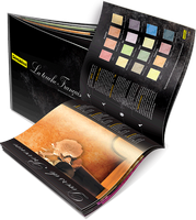 Изготовление и печать брошюр